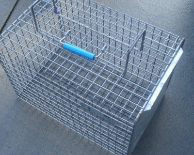 ANIMAL TRANSFER CAGE 510*305*305mm