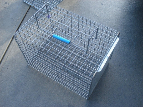 ANIMAL TRANSFER CAGE 510*305*305mm