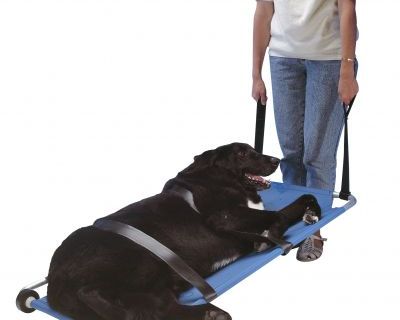 JorVet Animal Stretcher