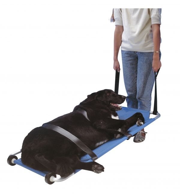 JorVet Animal Stretcher