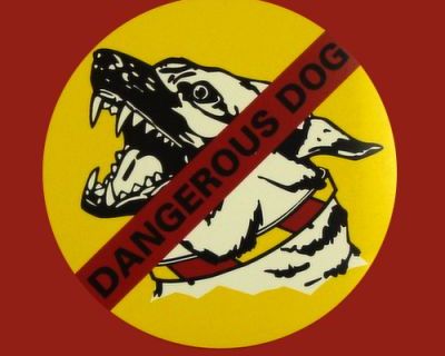 Dangerous Dog Sign