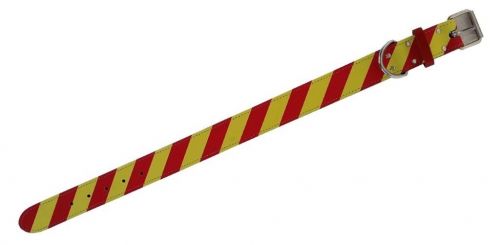 Dangerous Dog Collar - Straight - 15mm x 350mm