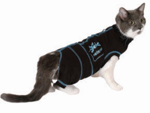 MediPaw Cat Suit