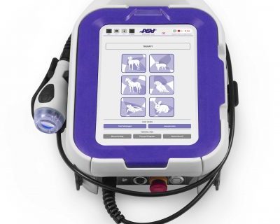 M-Vet Therapy Laser