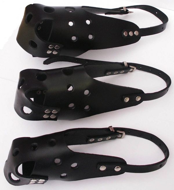 LEATHER DOG MUZZLE MED