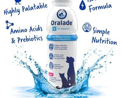 Oralade GI Support 500ml 6/Pack