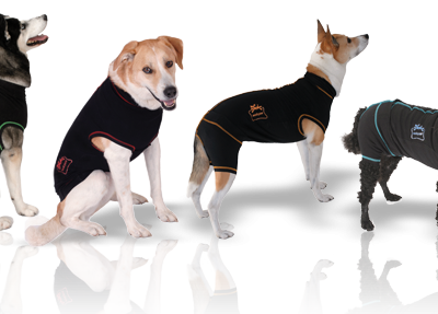 MediPaw Dog Suit