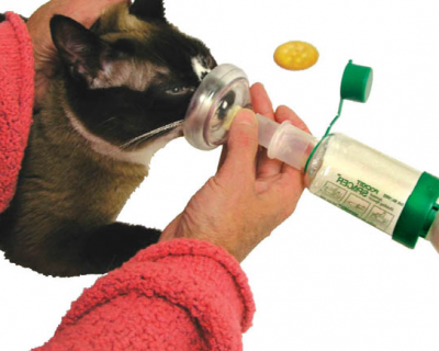 INHALER FELINE BREATHE EASY