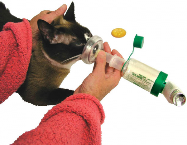 INHALER FELINE BREATHE EASY